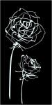 Decor Blancos roses noir